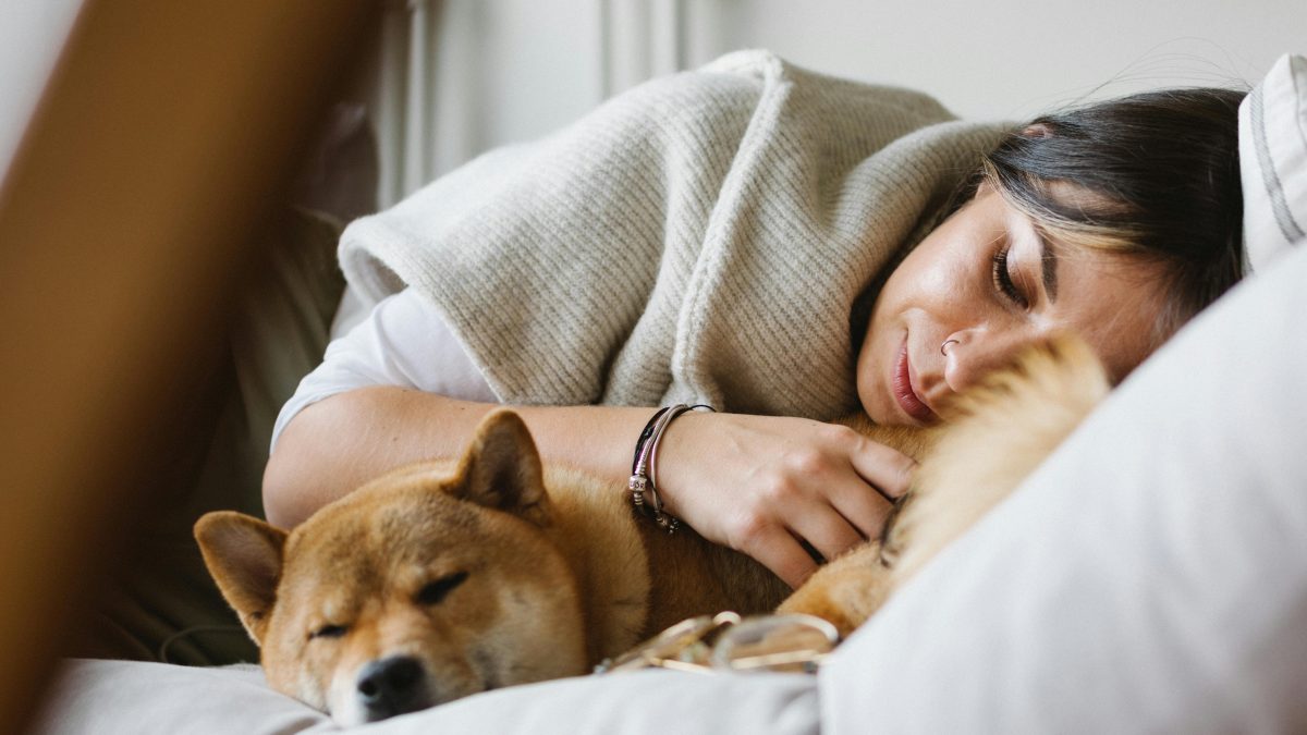 Respira y duerme mejor con las fundas antiácaros para almohadas y colchones